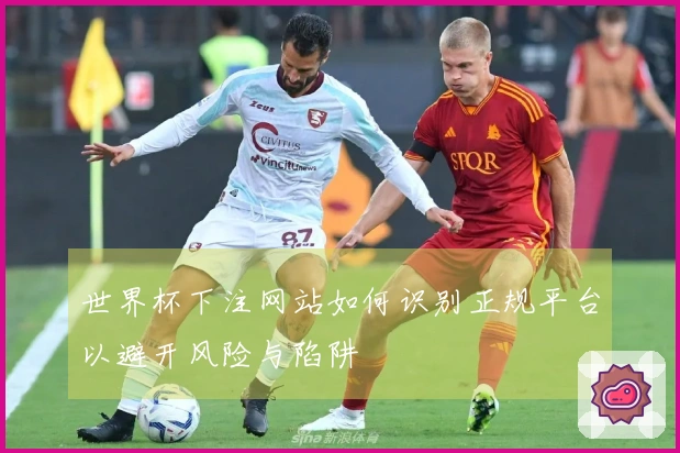 世界杯下注网站如何识别正规平台以避开风险与陷阱