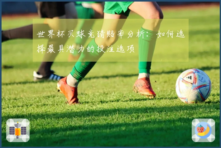 世界杯买球竞猜赔率分析：如何选择最具潜力的投注选项
