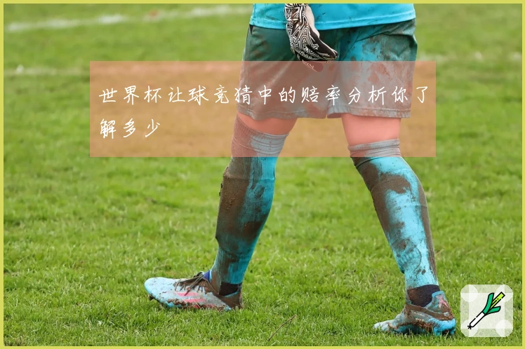 世界杯让球竞猜中的赔率分析你了解多少
