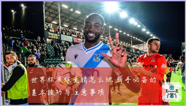 世界杯滚球竞猜怎么玩 新手必备的基本技巧与注意事项