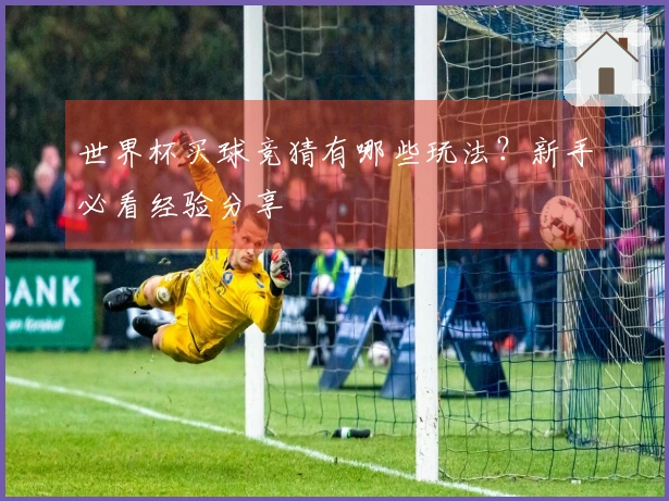 世界杯买球竞猜有哪些玩法？新手必看经验分享