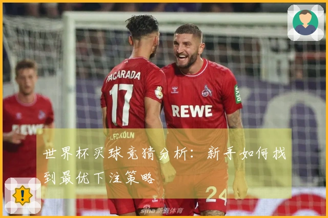 世界杯买球竞猜分析：新手如何找到最优下注策略