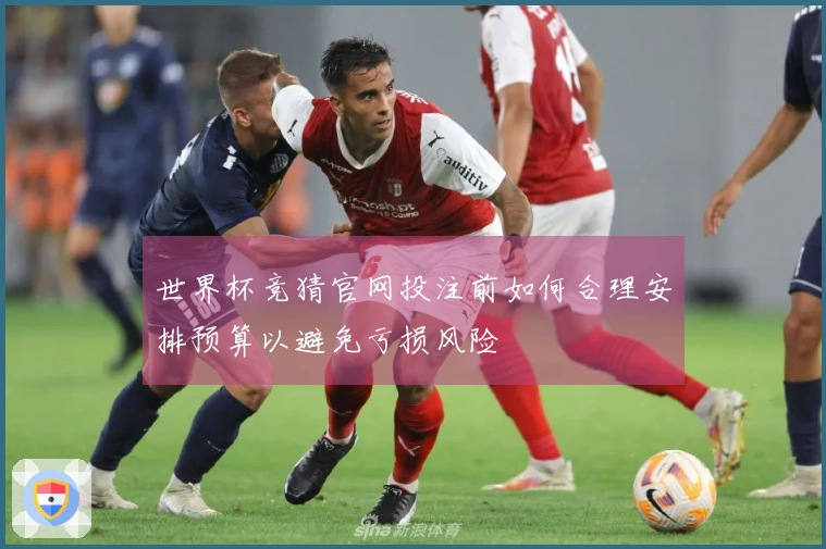 世界杯竞猜官网投注前如何合理安排预算以避免亏损风险