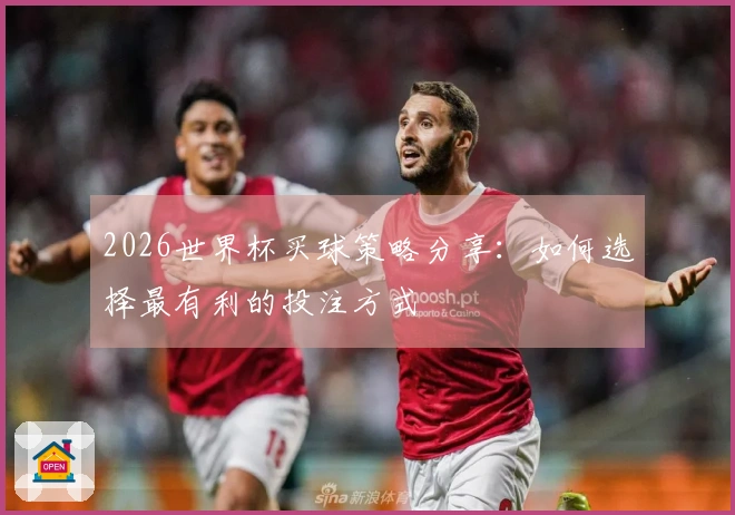 2026世界杯买球策略分享：如何选择最有利的投注方式