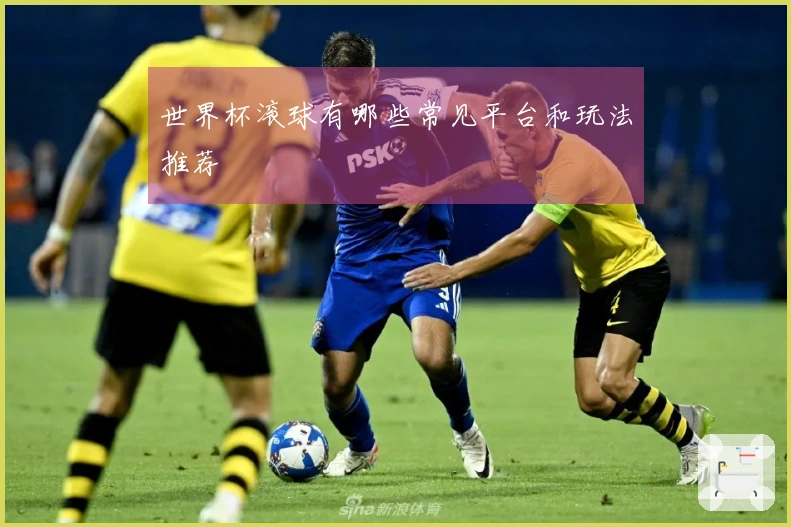 世界杯滚球有哪些常见平台和玩法推荐