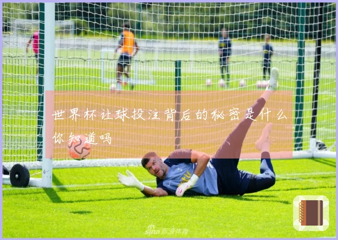 世界杯让球投注背后的秘密是什么你知道吗
