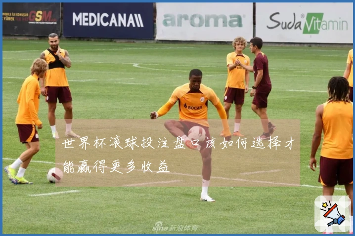 世界杯滚球投注盘口该如何选择才能赢得更多收益