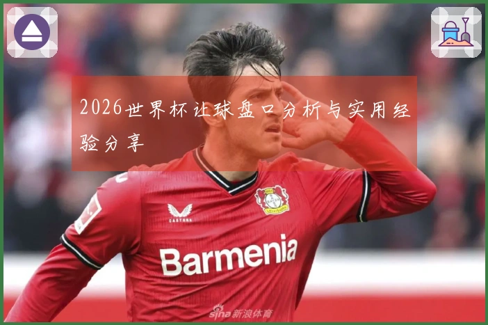 2026世界杯让球盘口分析与实用经验分享