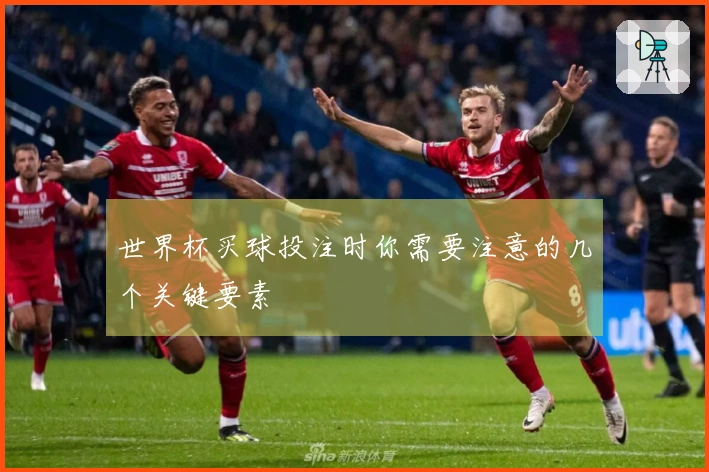 世界杯买球投注时你需要注意的几个关键要素