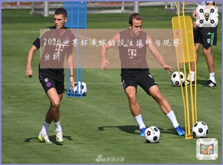 2026世界杯滚球的投注技巧与观察分析