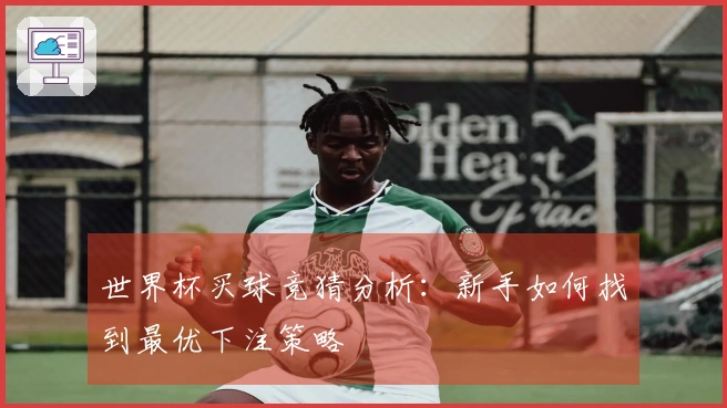 世界杯买球竞猜分析：新手如何找到最优下注策略