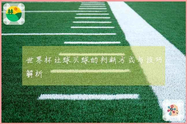 世界杯让球买球的判断方式与技巧解析