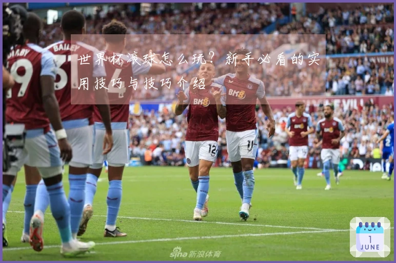 世界杯滚球怎么玩？新手必看的实用技巧与技巧介绍