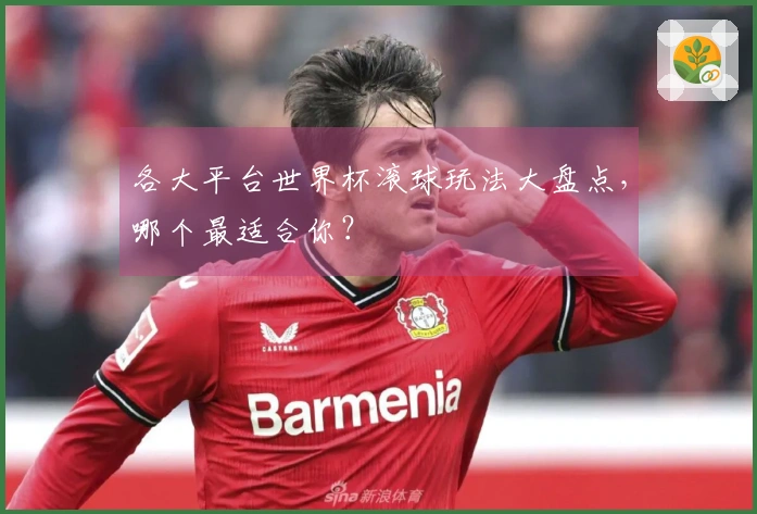 各大平台世界杯滚球玩法大盘点，哪个最适合你？