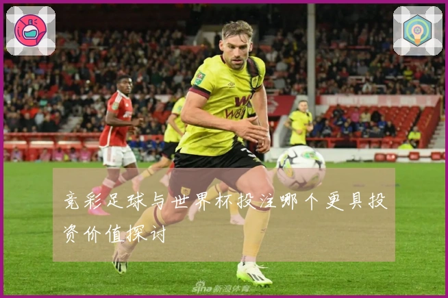 竞彩足球与世界杯投注哪个更具投资价值探讨