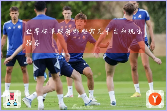 世界杯滚球有哪些常见平台和玩法推荐