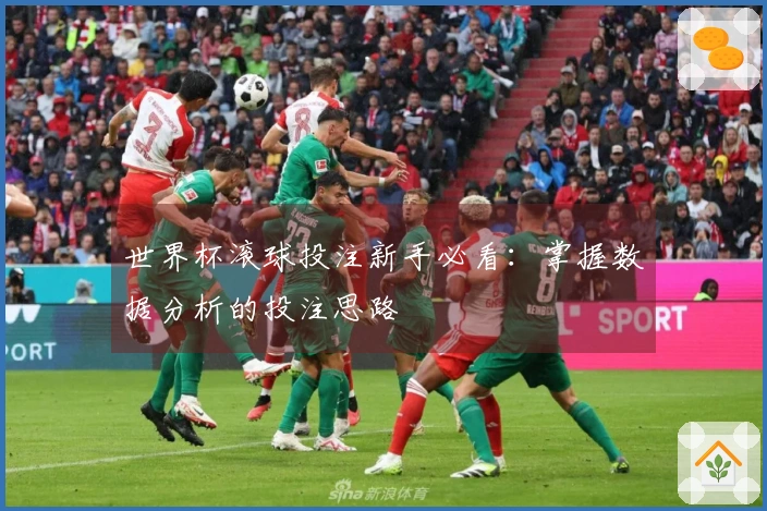 世界杯滚球投注新手必看：掌握数据分析的投注思路