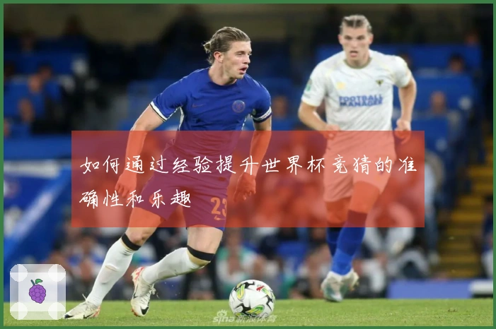 如何通过经验提升世界杯竞猜的准确性和乐趣